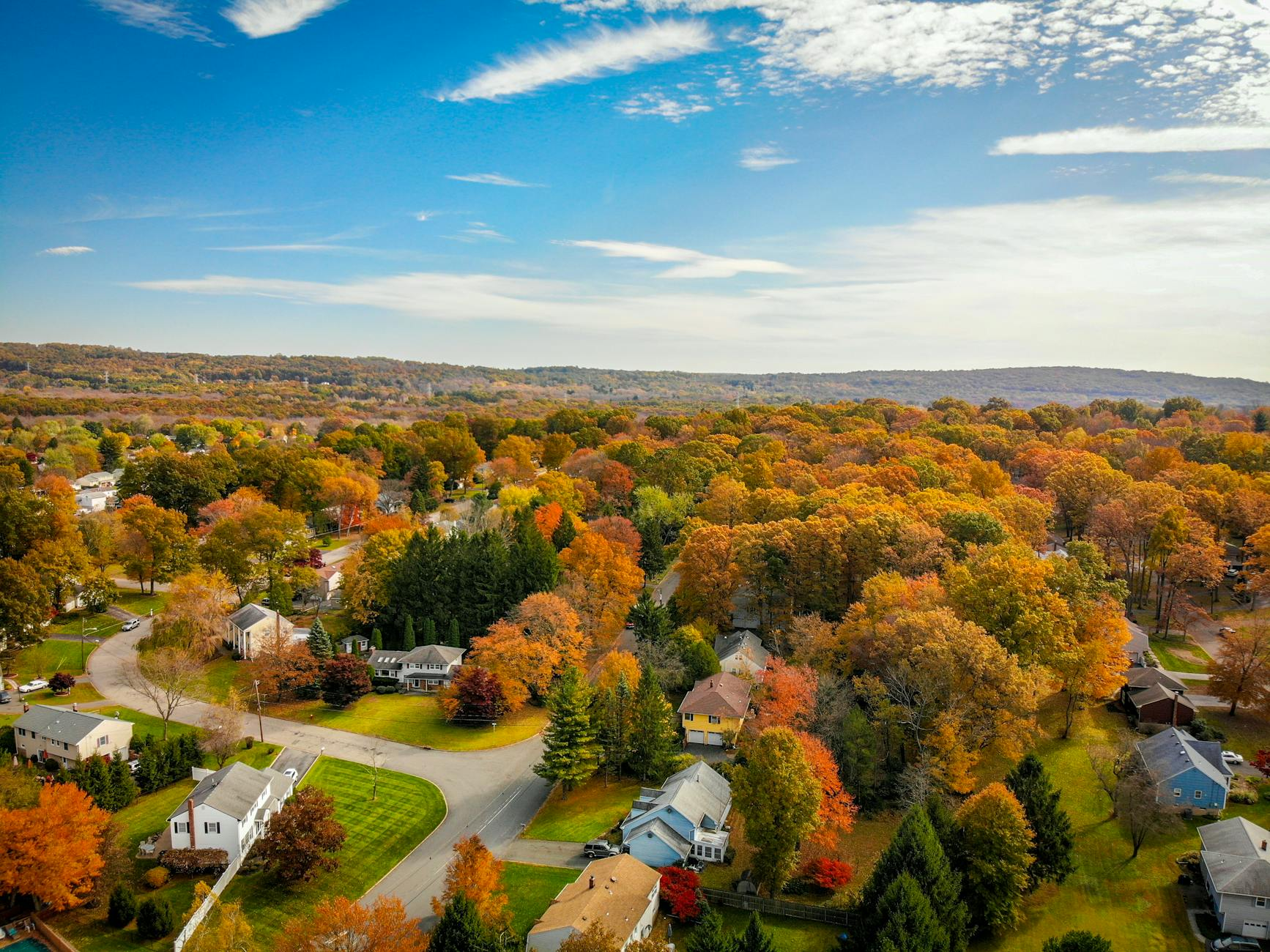 aerial photography of houses surrounded by trees