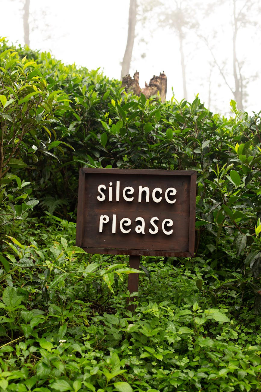 wooden sign in the middle of tea plants