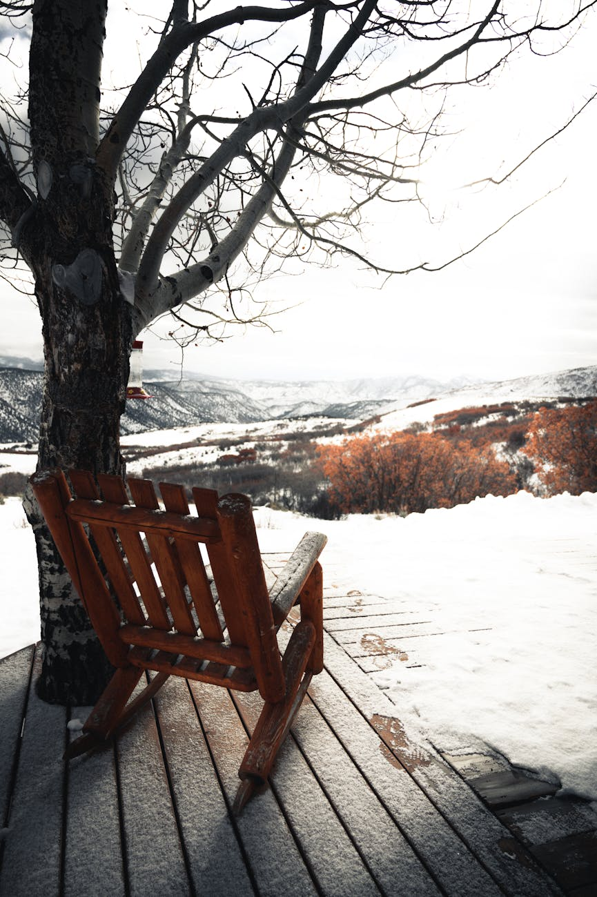 rocking chair near a tree