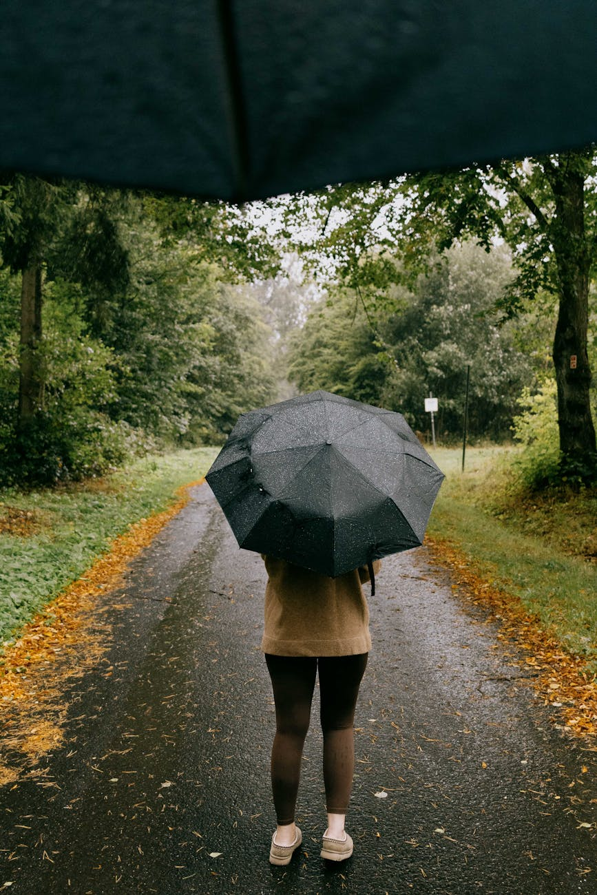 person walking on rainy path with umbrella