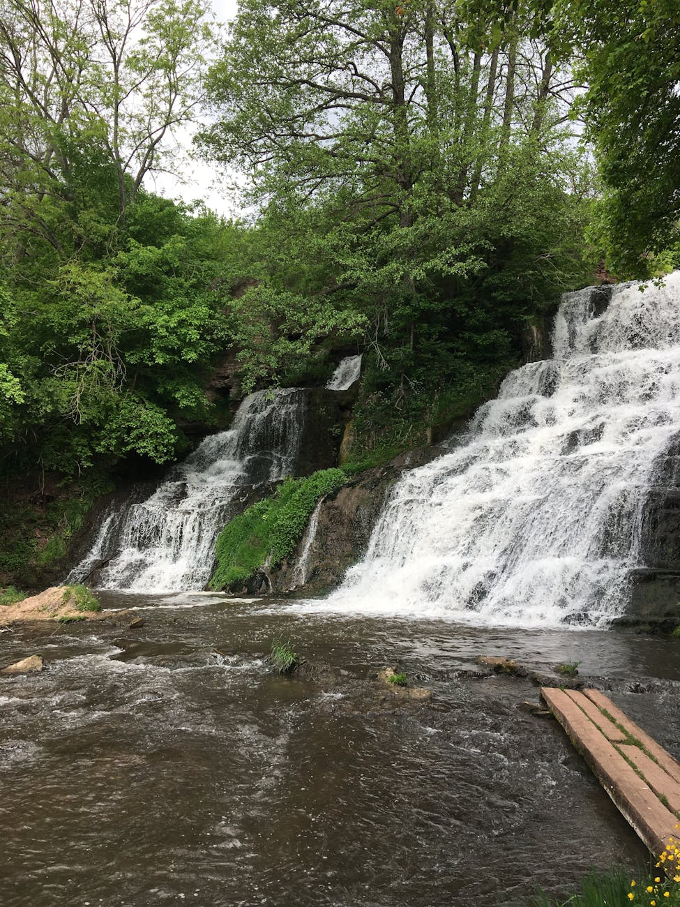 serene waterfall in lush green forest