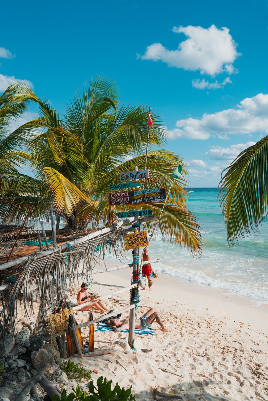 a beach in summer