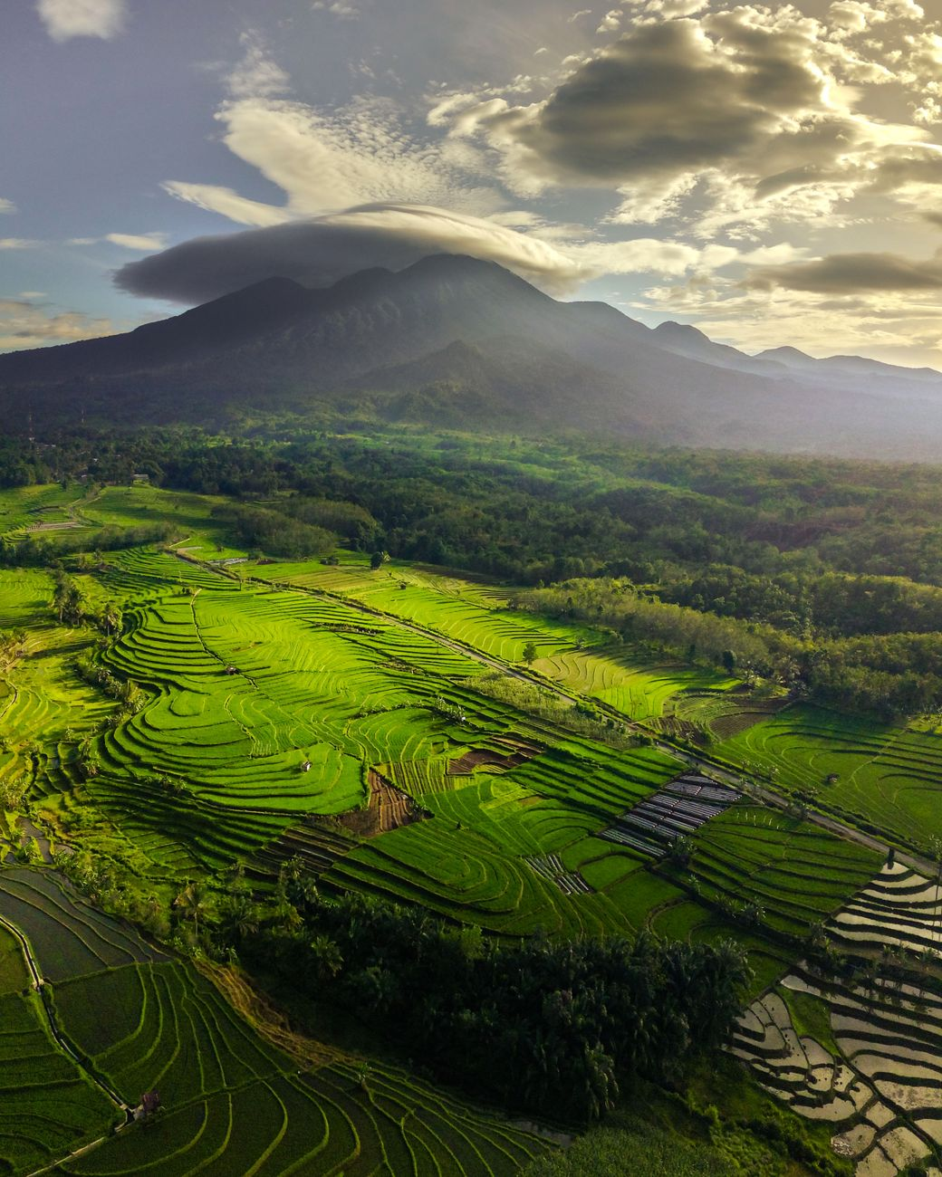 lush green terraced fields in bengkulu indonesia
